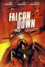 Watch Falcon Down Vodly