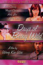 Watch Days of Being Wild Vodly