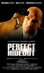 Watch Perfect Hideout Vodly