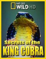 Watch Secrets of the King Cobra Vodly