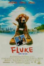 Watch Fluke Vodly