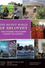 Watch The Secret World of Recovery Vodly