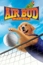 Watch Air Bud: Spikes Back Vodly