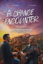 Watch A Chance Encounter Vodly