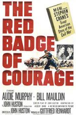 Watch The Red Badge of Courage Vodly