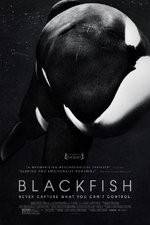 Watch Blackfish Vodly