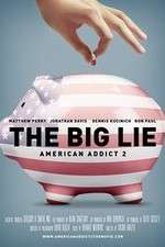 Watch American Addict 2 The Big Lie Vodly