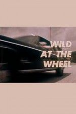 Watch Wild at the Wheel Vodly