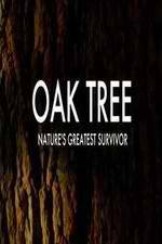 Watch Oak Tree Natures Greatest Survivor Vodly