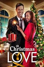 Watch A Christmas Love Vodly