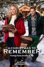 Watch A Christmas to Remember Vodly