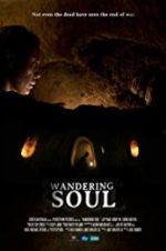 Watch Wandering Soul Vodly