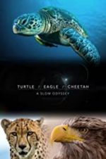 Watch Turtle, Eagle, Cheetah: A Slow Odyssey Vodly