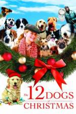 Watch The 12 Dogs of Christmas Vodly