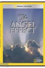 Watch National Geographic Explorer - The Angel Effect Vodly