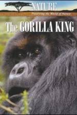 Watch Nature The Gorilla King Vodly