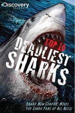 Watch National Geographic Worlds Deadliest Sharks Vodly