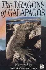 Watch The Dragons of Galapagos Vodly