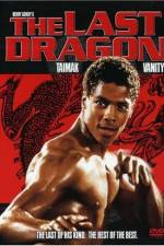 Watch The Last Dragon Vodly