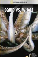 Watch National Geographic Wild - Squid Vs Whale Vodly