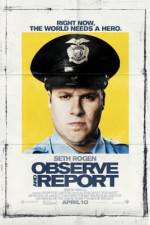 Watch Observe and Report Vodly