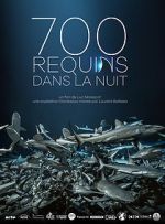 Watch 700 requins dans la nuit Vodly