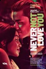 Watch Never Not Love You Vodly