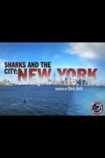 Watch Sharks and the City: New York Vodly