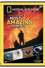 Watch National Geographic's Most Amazing Moments Vodly