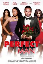 Watch The Perfect Man Vodly