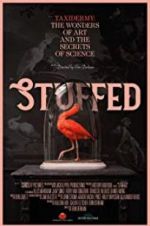 Watch Stuffed Vodly