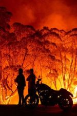Watch Fire Fight Australia Vodly