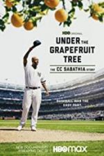 Watch Under the Grapefruit Tree: The CC Sabathia Story Vodly