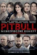 Watch Pitbull: Tough Women Vodly