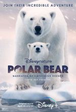 Watch Polar Bear Vodly