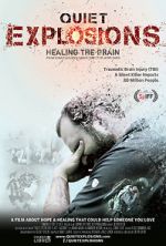 Watch Quiet Explosions: Healing the Brain Vodly