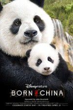 Watch Born in China Vodly