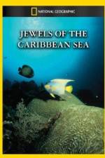 Watch National Geographic Jewels of the Caribbean Sea Vodly