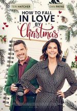 Watch How to Fall in Love by Christmas Vodly