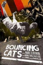 Watch Bouncing Cats Vodly