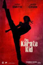 Watch The Karate Kid Vodly