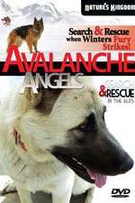 Watch Avalanche Angels Vodly