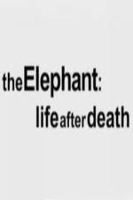 Watch The Elephant - Life After Death Vodly