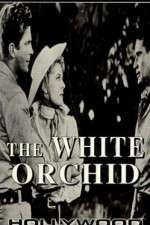 Watch The White Orchid Vodly