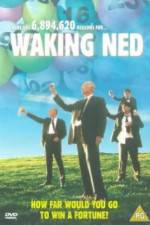 Watch Waking Ned Vodly