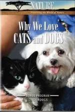 Watch Why We Love Cats And Dogs Vodly