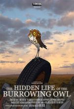 Watch The Hidden Life of the Burrowing Owl (Short 2008) Vodly