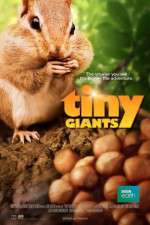 Watch Tiny Giants 3D Vodly