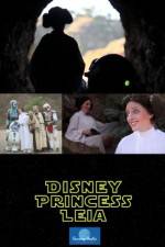 Watch Disney Princess Leia Part of Hans World Vodly