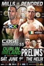 Watch Cage Warriors 55  Facebook Prelims Vodly